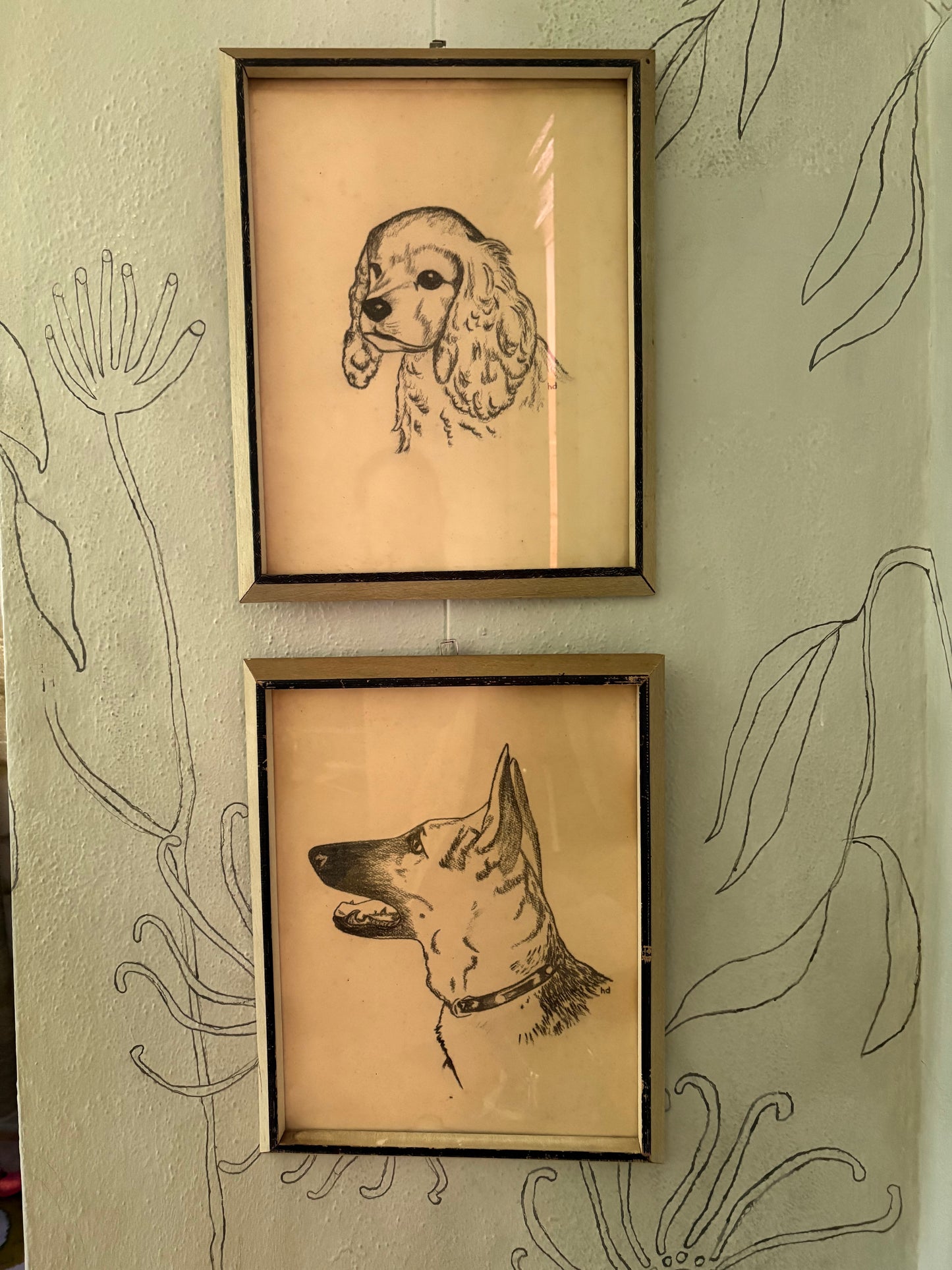 1950s Charcoal Dog Portraits (FREE SHIPPING)