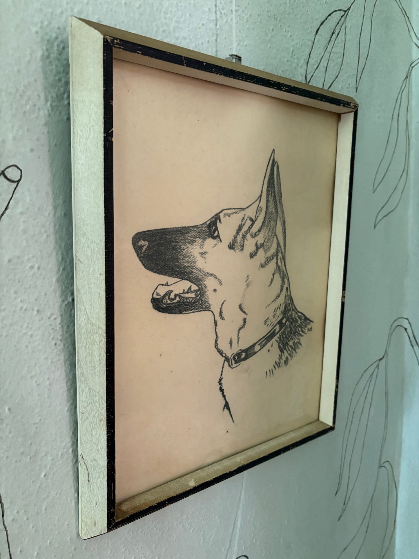 1950s Charcoal Dog Portraits (FREE SHIPPING)