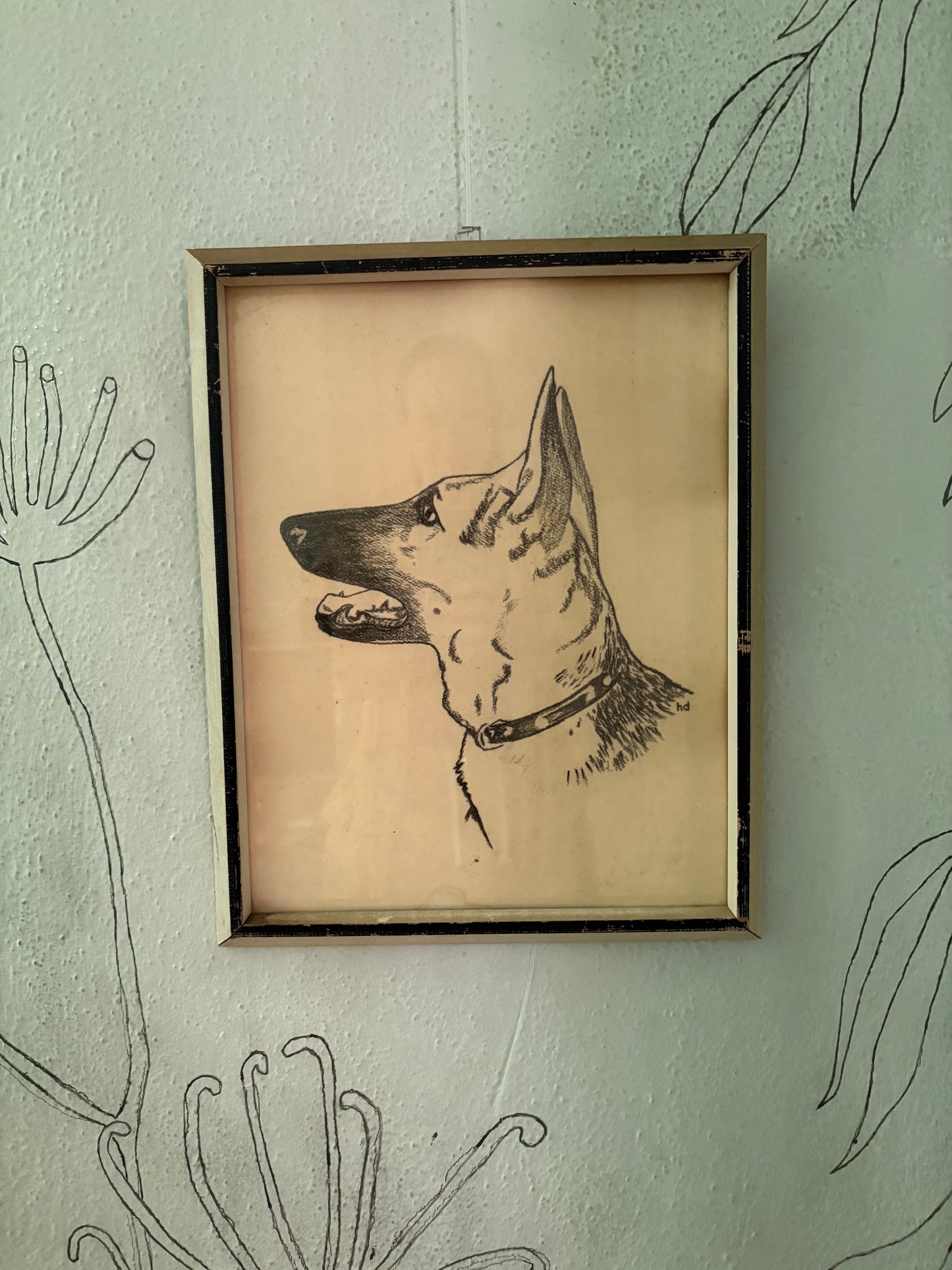 1950s Charcoal Dog Portraits (FREE SHIPPING)