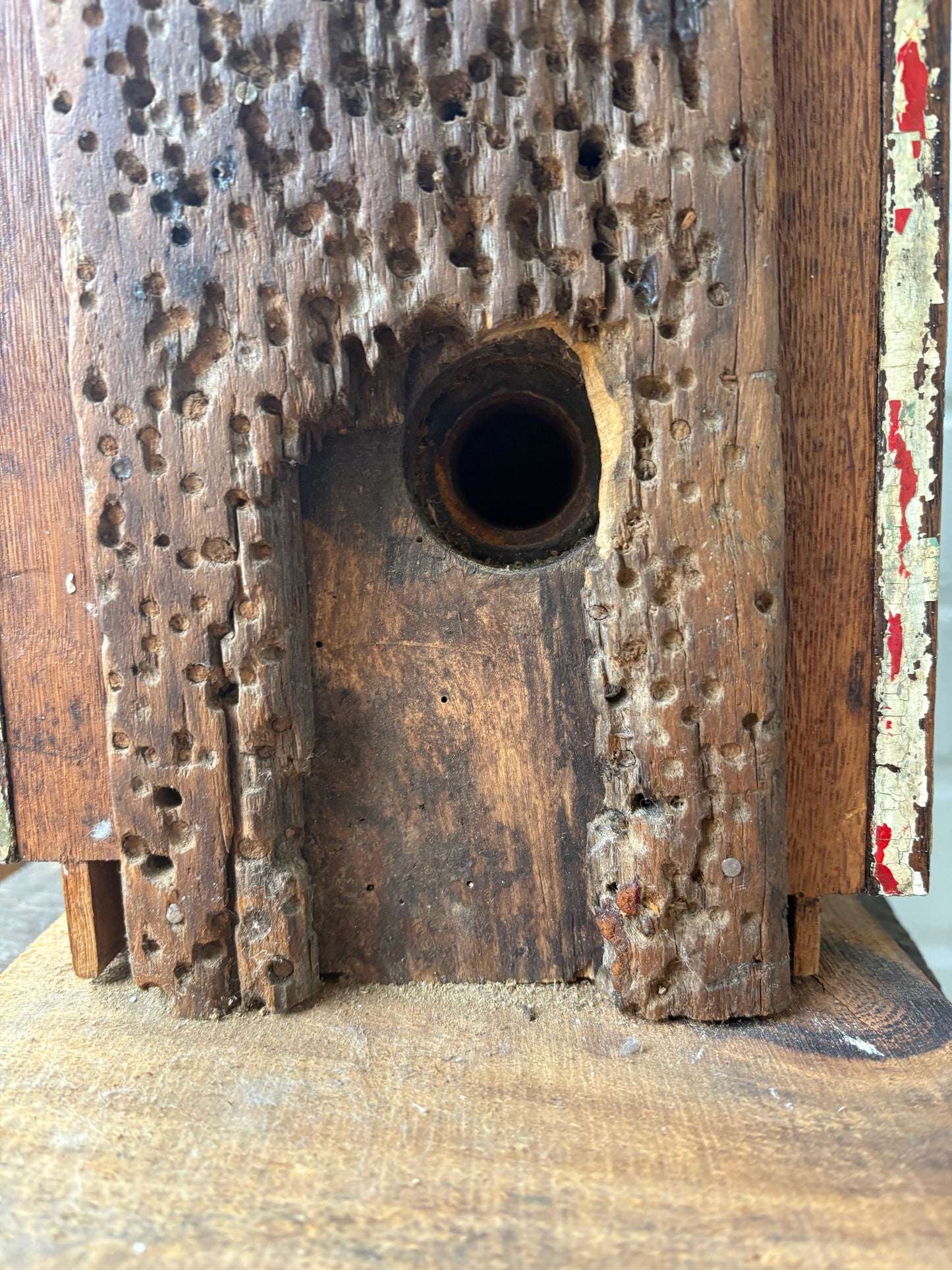 Folk Art Found Objects Sculptural Bird House (FREE SHIPPING)