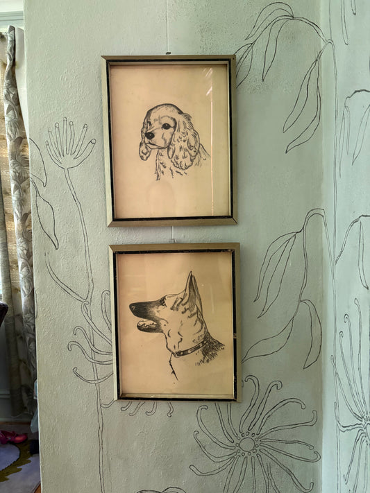 1950s Charcoal Dog Portraits (FREE SHIPPING)