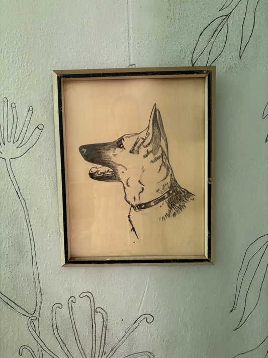 1950s Charcoal German Shepherd Portrait (FREE SHIPPING)