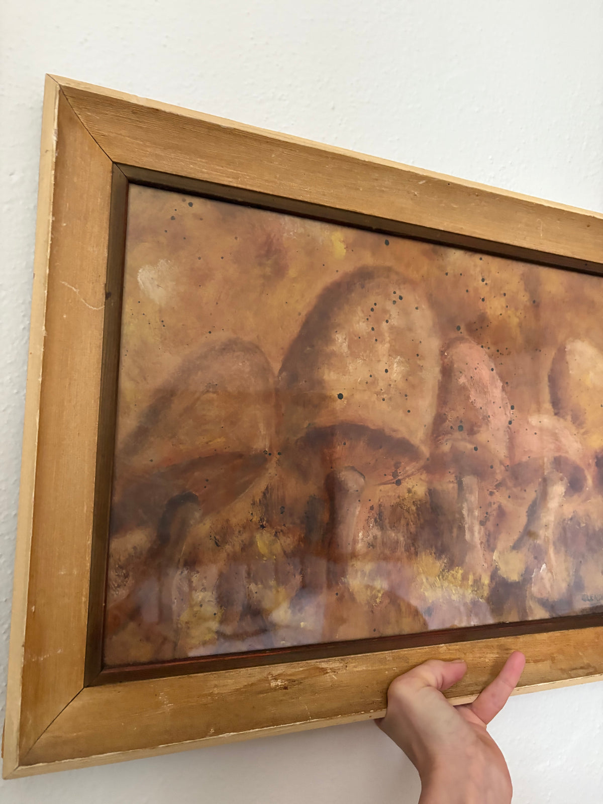 1960s Framed Mushroom Watercolor (FREE SHIPPING)